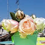 Aquamare, Boutique