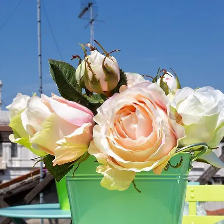 Aquamare, Boutique